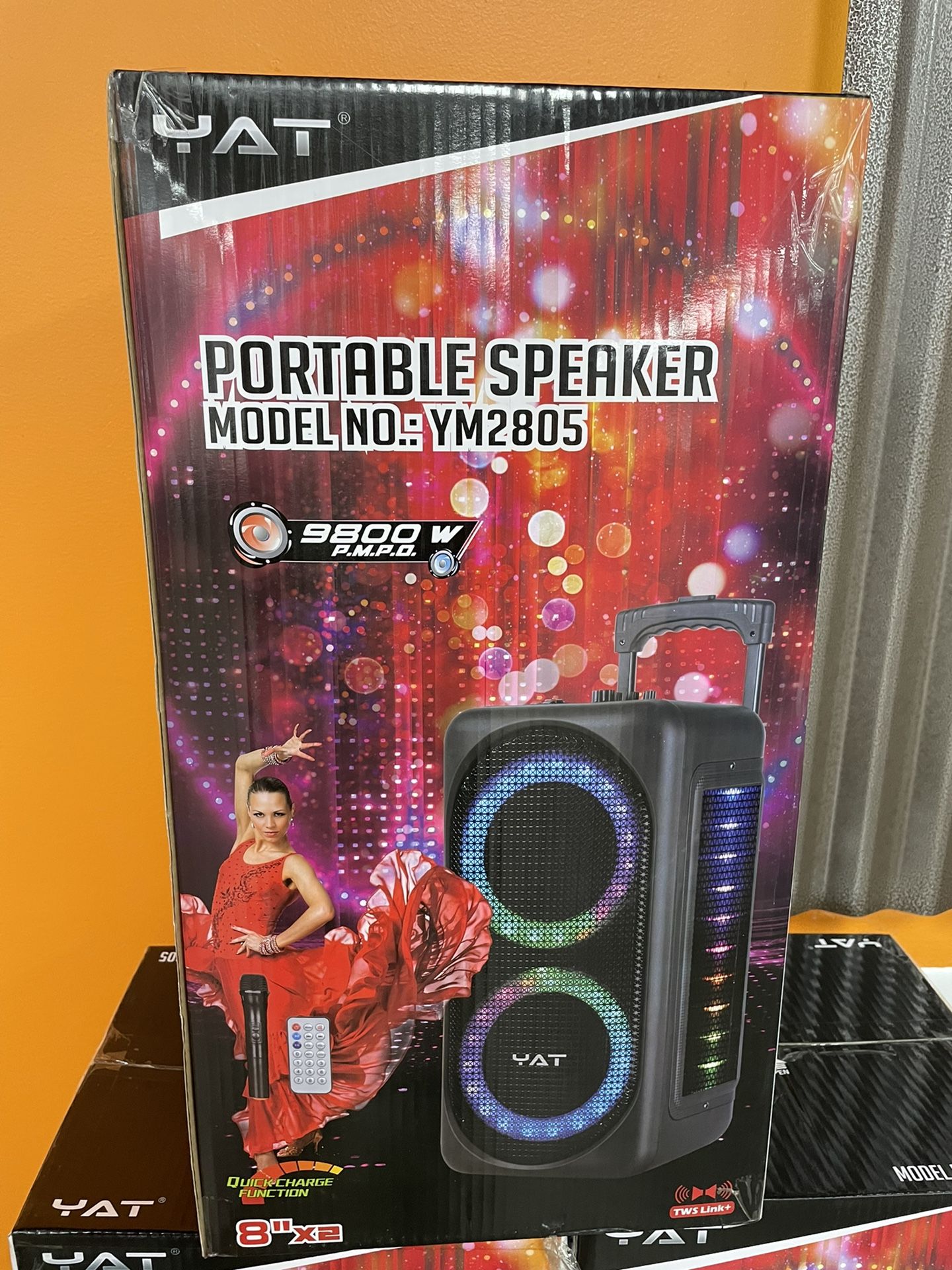 BIG OL LED KARAOKE SPEAKR