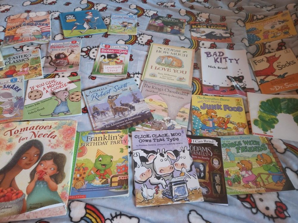 Kids Book Lot Over 25 Books