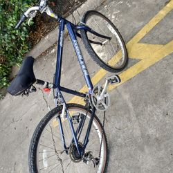 Raleigh SC40 Sport Comfort Bicycle