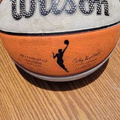 WNBA Wilson Outdoor Basketball