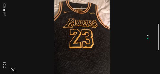 Lebron James Mamba Jersey