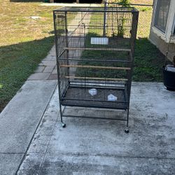 Bird Cage 