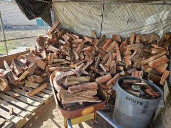 Eucalyptus Fire Wood