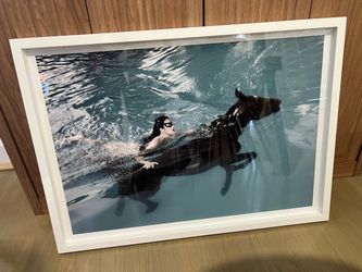 Dominic Petruzzi “Secret Swim 2013”