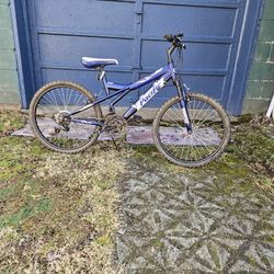 Bicycle 24 Inch,like new 
