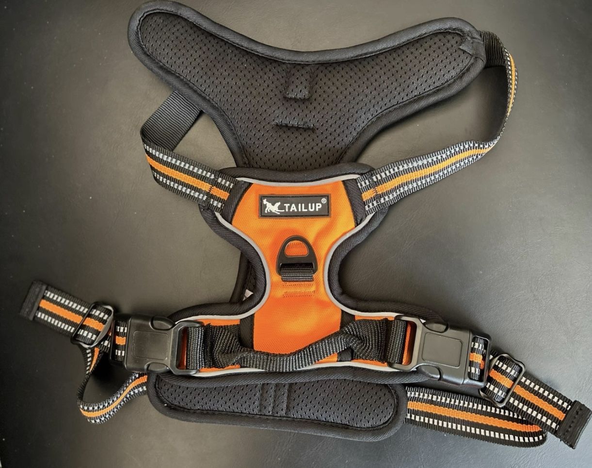 Reflective Dog Leash and Harness