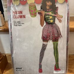 Women Clown Costume