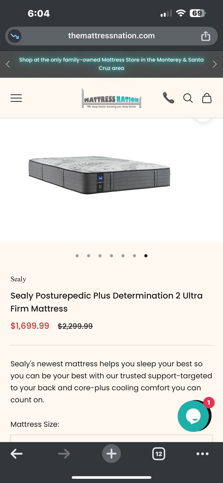 Sealy King Size Mattress