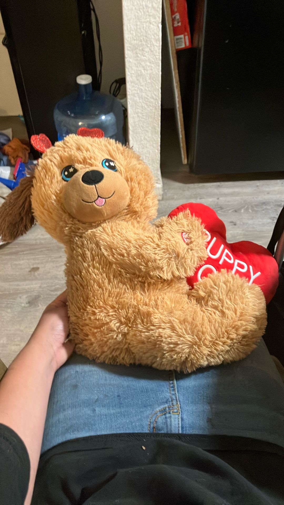 Teddy Bear