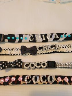Custom Pet Collars