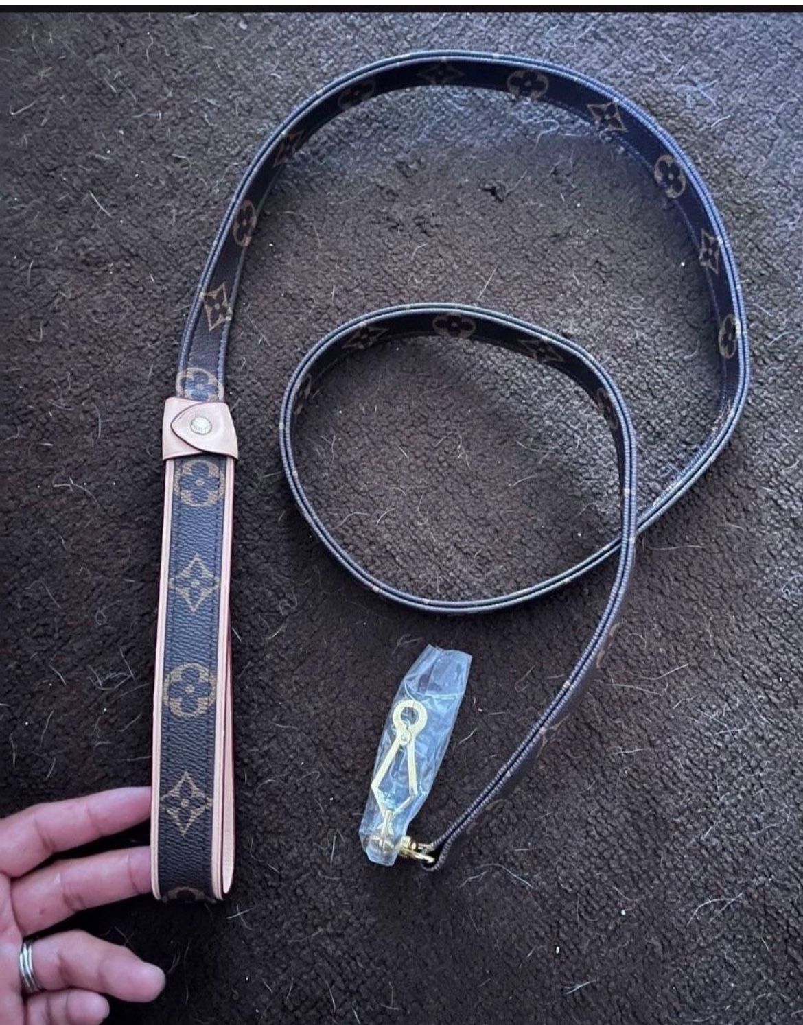 New Dog Leash Located In San Clemente