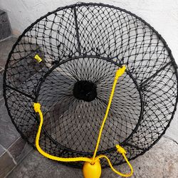 34” Danielson Lobster Hoops