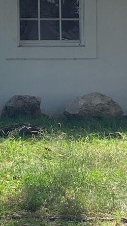 Free decorative rocks