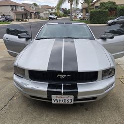 2007 Ford Mustang