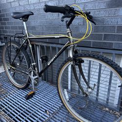 Giant Iguana Hybrid Road Bike 
