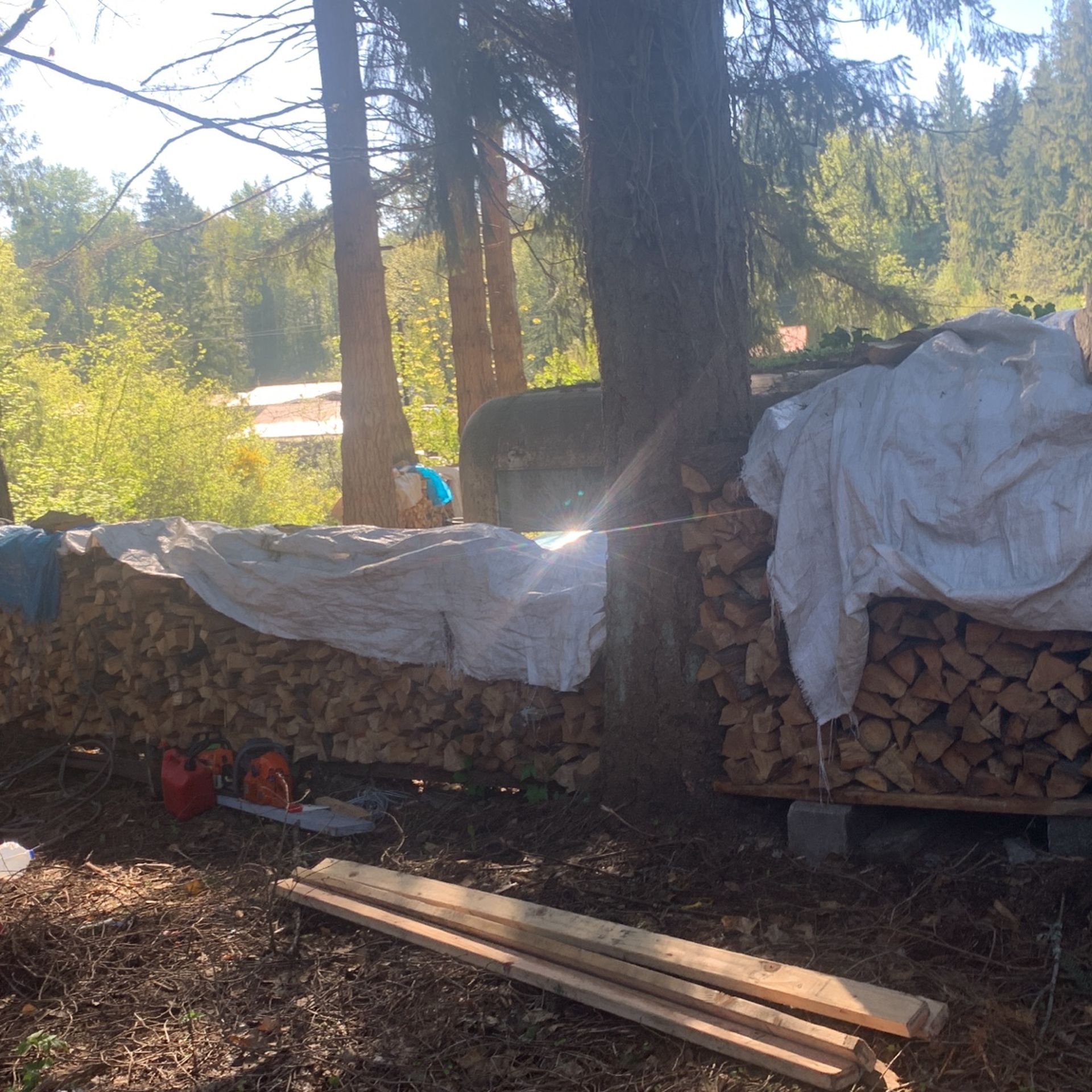 Cedar Firewood, $150
