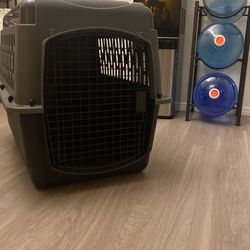 Intermediate Dog Crate 