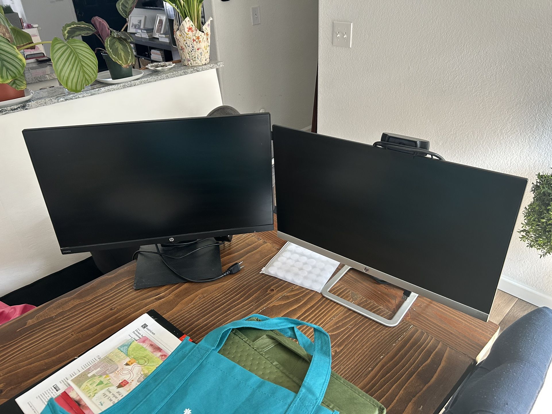 HP Dual Monitors