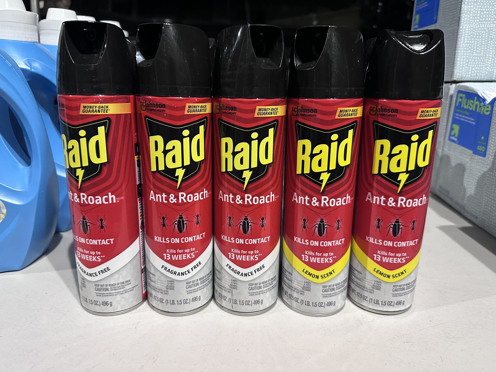 Raid Ant and Roach Killer Indoor Bug Spray - Fragrance Free - 17.5oz