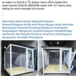 Dog Kennels Florida 🐕