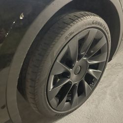 Trade: Tesla Induction Wheels For Geminis 