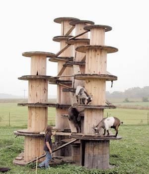 Wooden Spools
