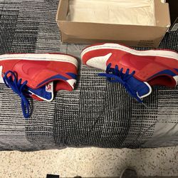 Superman Size 11, Nike Sb