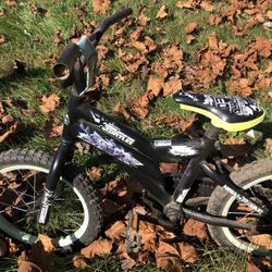 Ninja Turtles Bicycle