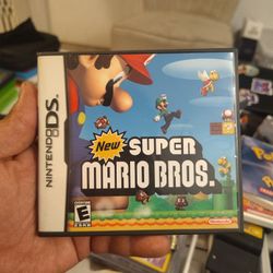 Nintendo DS 