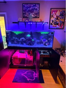 Complete Red Sea 450 salt water tank