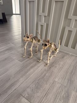 Pair Of Cat Skeleton Halloween Decoration