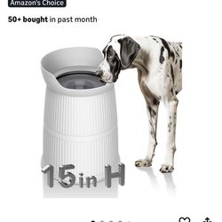 Elevated Dog Bowl 