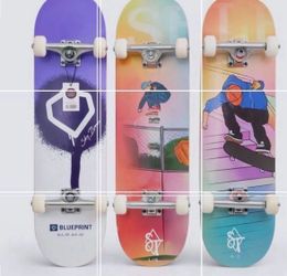 Brand New Complete Skateboards