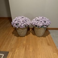 Gorgeous set of 2 flowers pots
