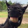 Carlos