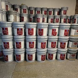 Paint For Sale 