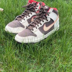 Nike Dunks High Top