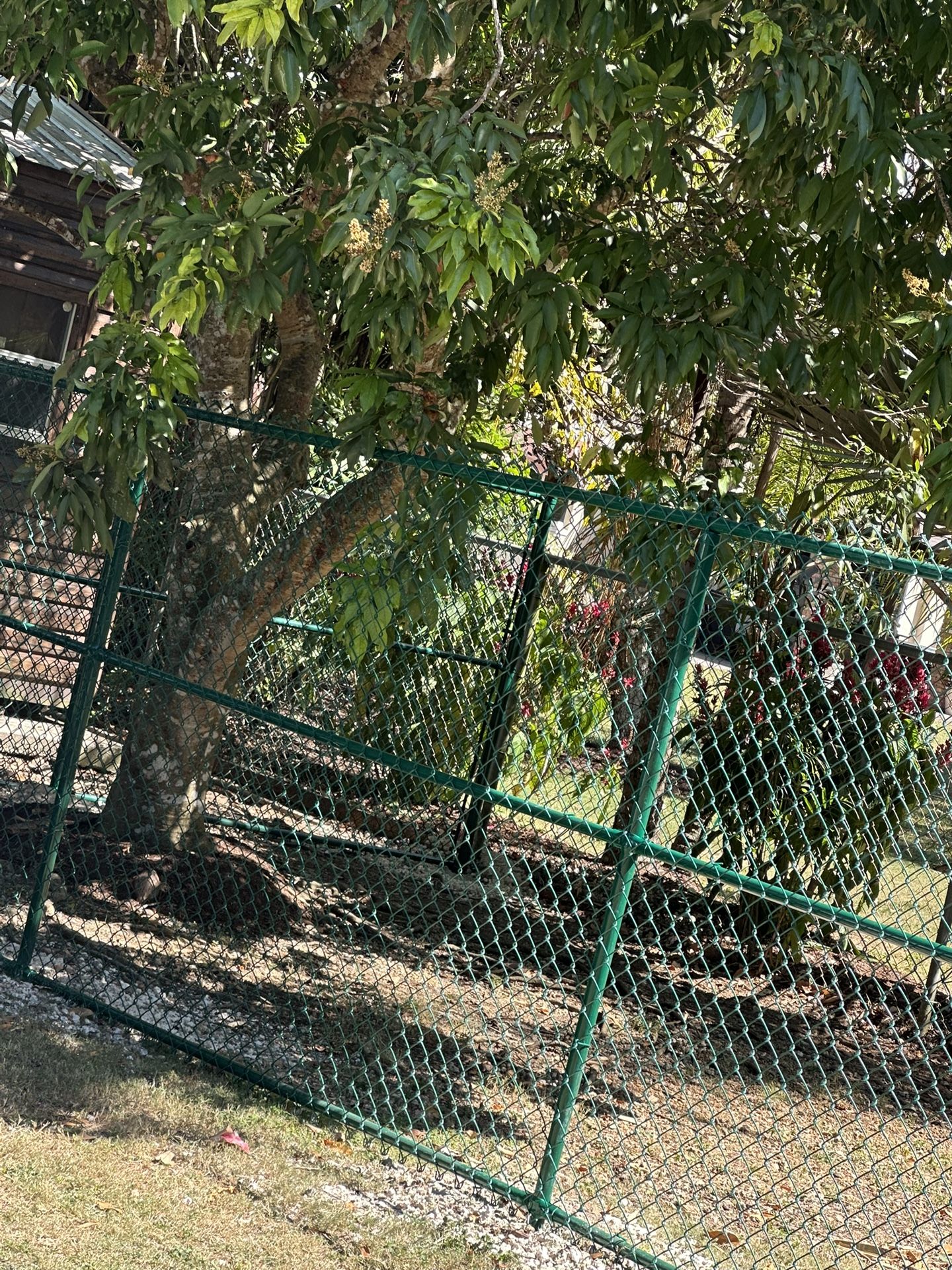 fence