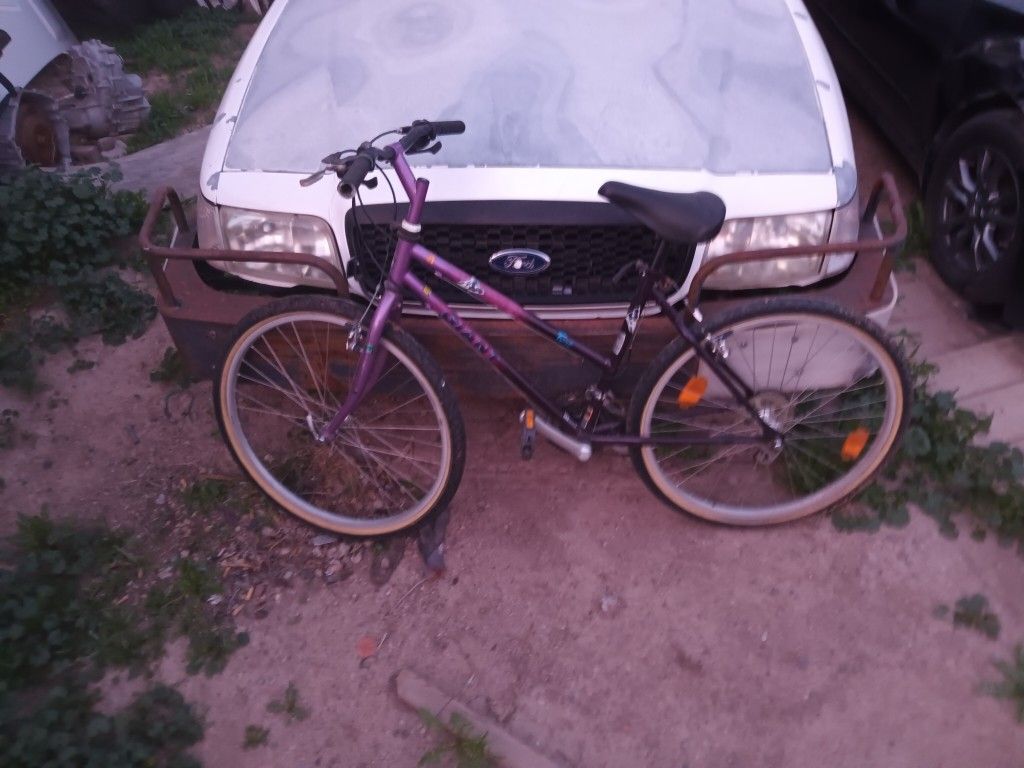 Purple Giant Mountain Bike 26 Inch 35.00