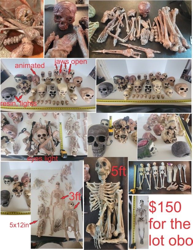 Halloween Lot Of Skeletons Skulls And Bones Some Diy Corpsed . 