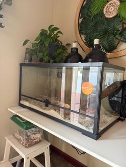 Terrarium