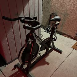 bike spinning schwinn