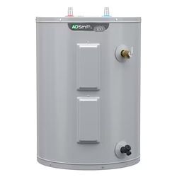 A.O. Smith Signature 100 48-Gallon Lowboy 4500-Watt Double Element Electric Water Heater  $199 