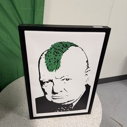 Green Mohawk Canvas Portrait