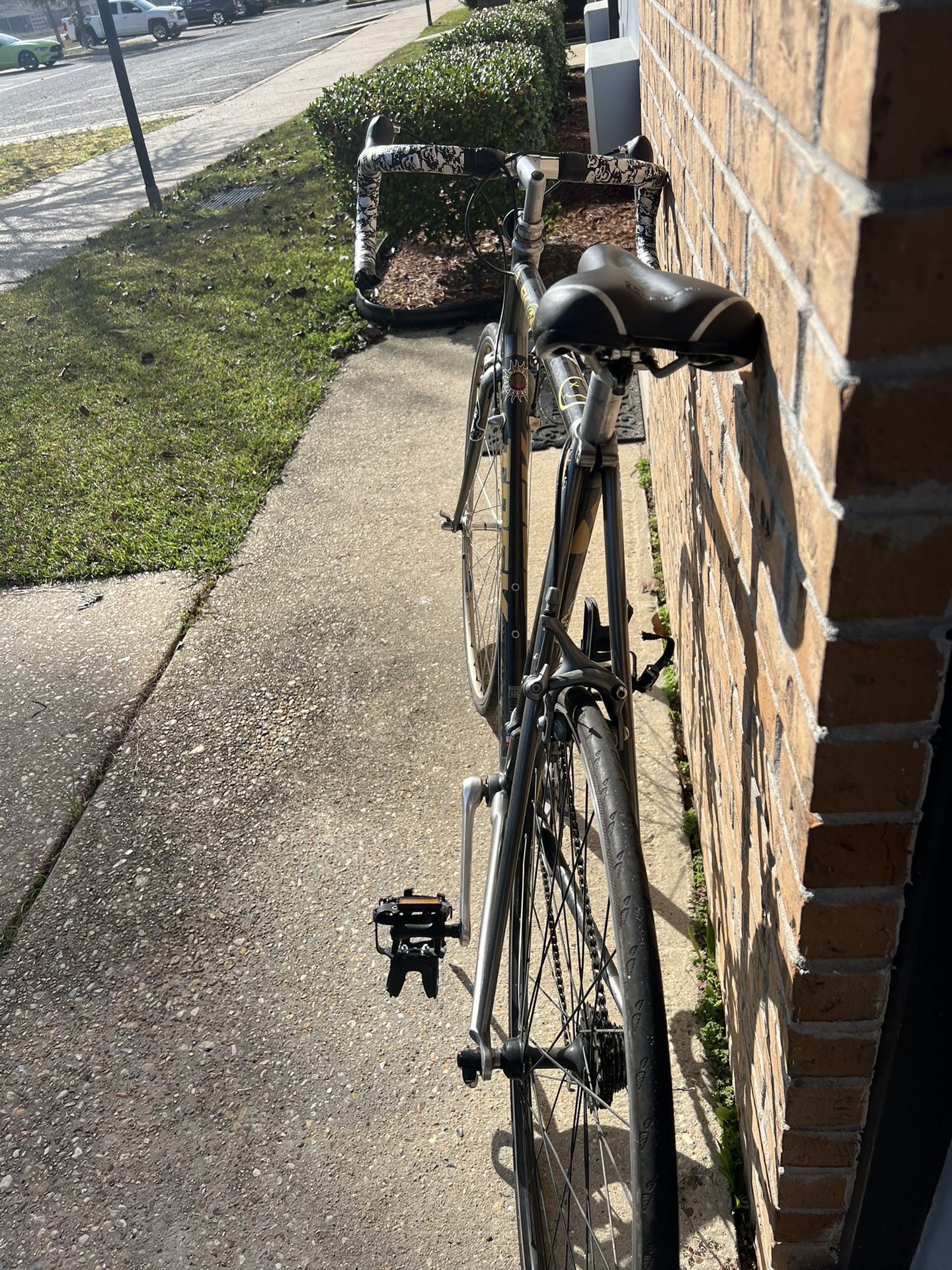 Trek Road Bike