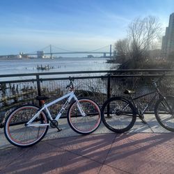 white and orange big flyer