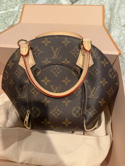LV Purse