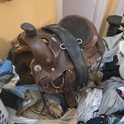 My Kids Saddle Ready To Let It Go.