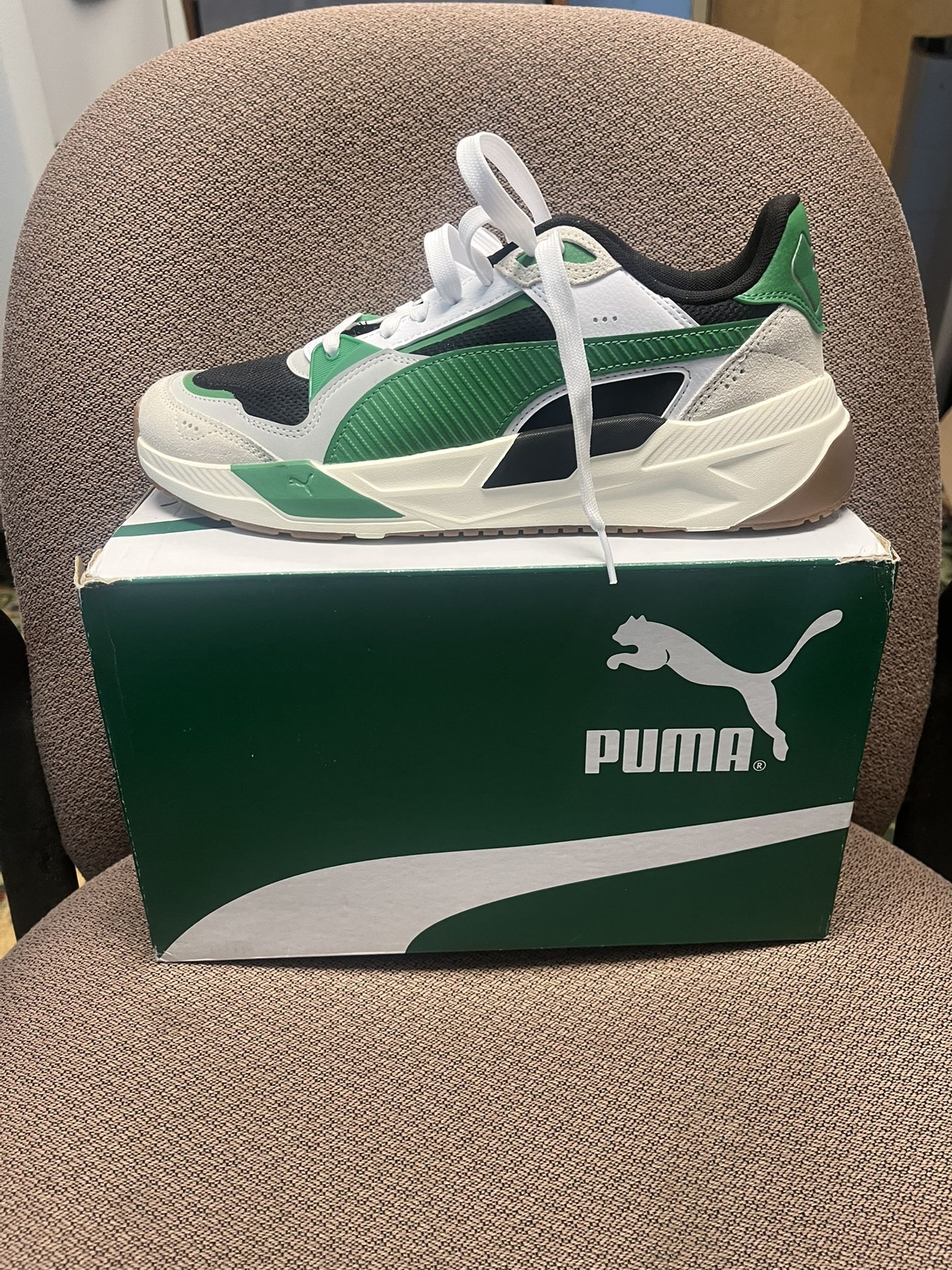 Puma 