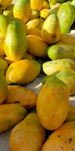 Delicious Caribbean Mangoes